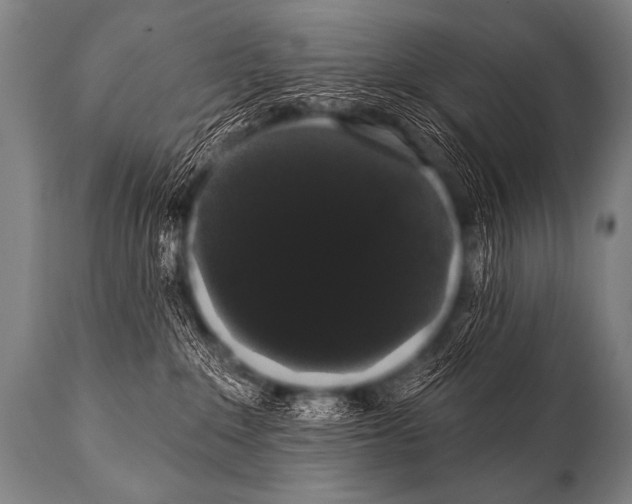 X0000112000235200909141109