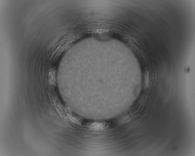 X0000112000236200909141109