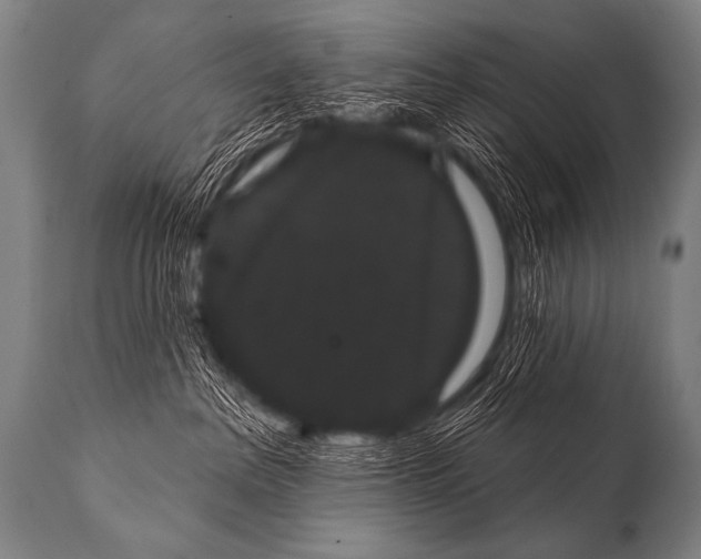 X0000112000237200909141109