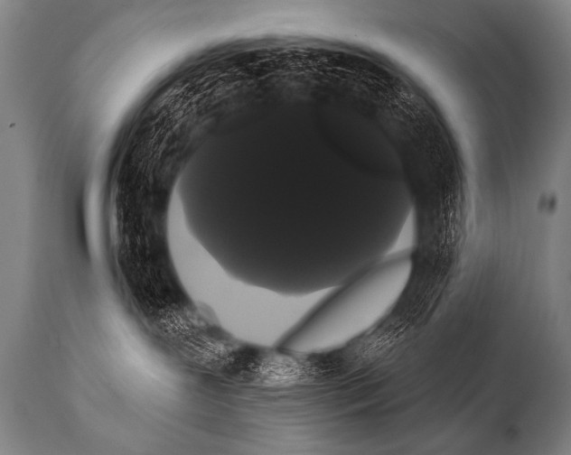 X0000112000239200909141109