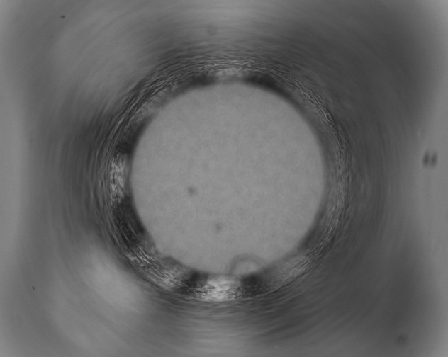 X0000112000240200909141109