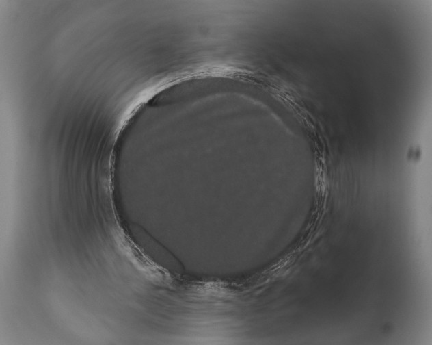 X0000112000244200909141108