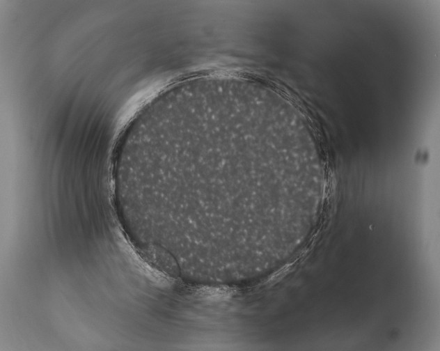 X0000112000245200909141108