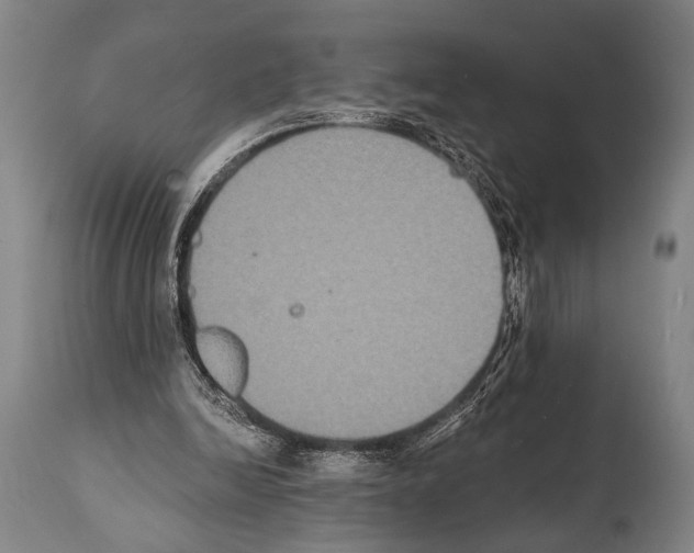 X0000112000246200909141108