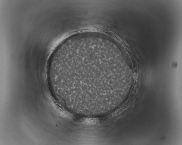 X0000112000248200909141108