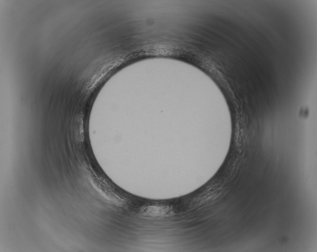 X0000112000251200909141108