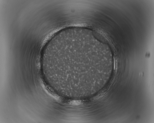 X0000112000252200909141108