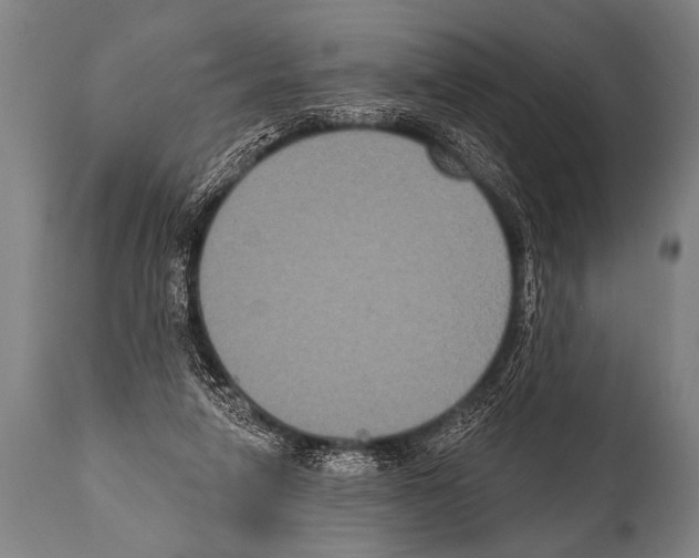 X0000112000258200909141108