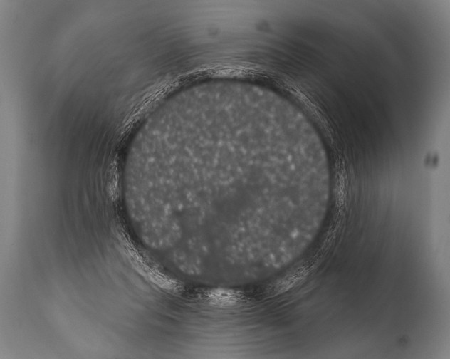 X0000112000261200909141108