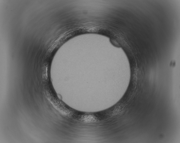 X0000112000262200909141108