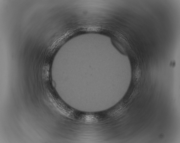 X0000112000264200909141108