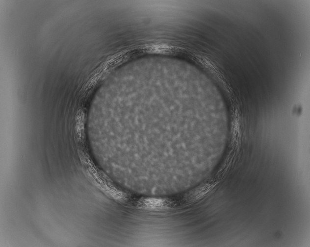 X0000112000265200909141108