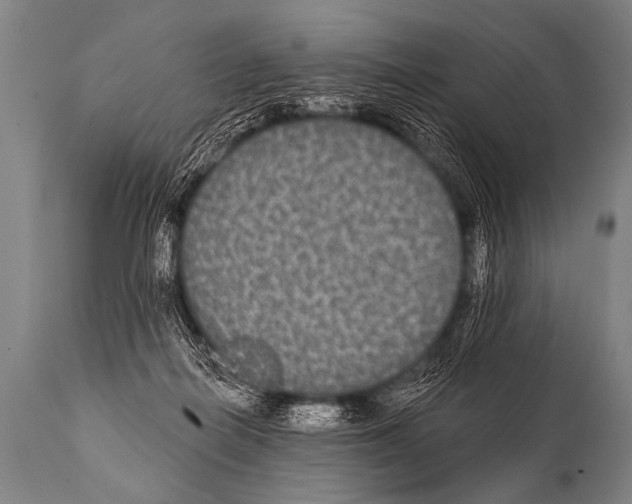 X0000112000266200909141108