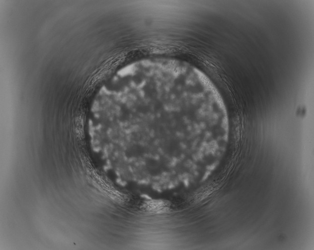 X0000112000269200909141109