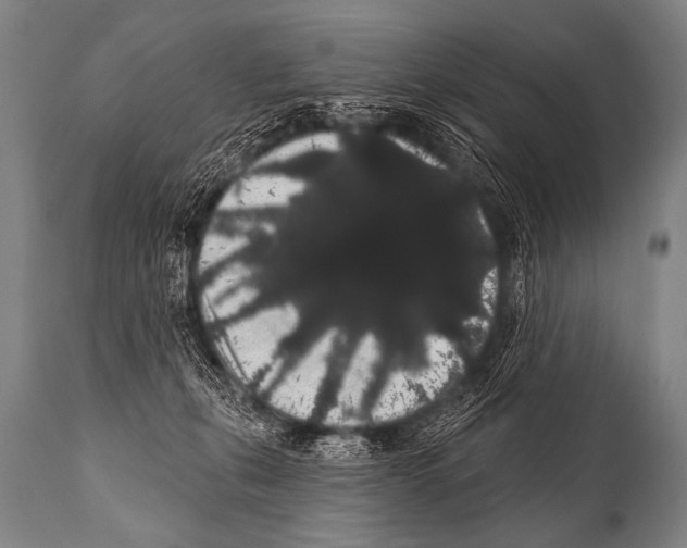 X0000112000271200909141109