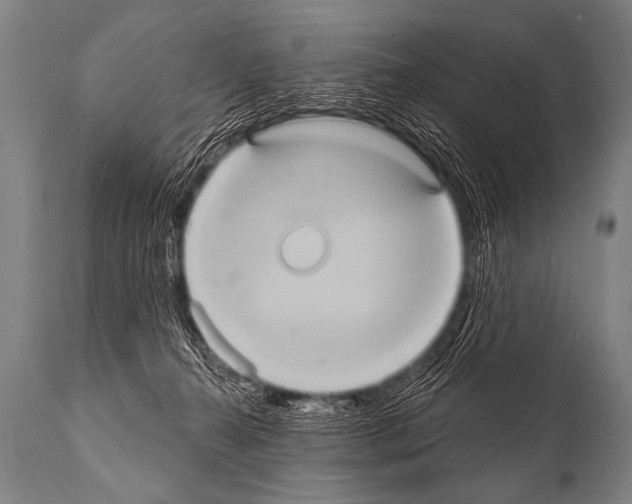 X0000112000272200909141109