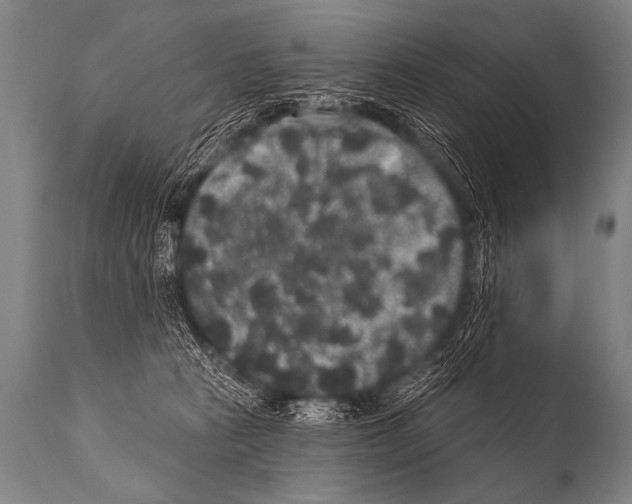 X0000112000273200909141109