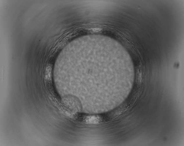 X0000112000274200909141109