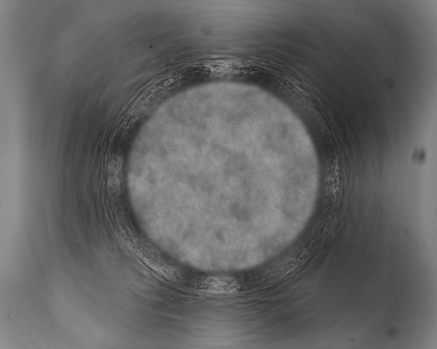 X0000112000275200909141109