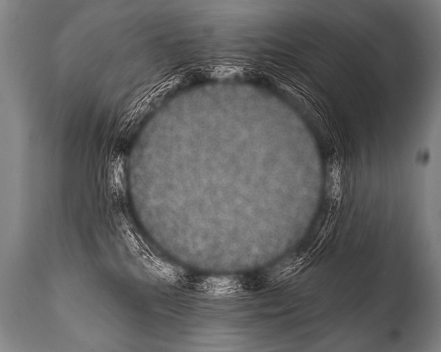 X0000112000280200909141109