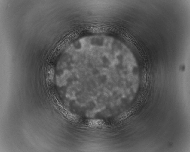 X0000112000281200909141109