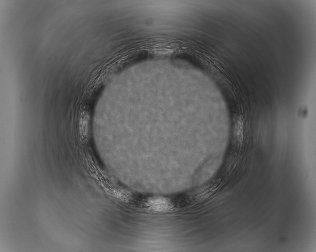 X0000112000283200909141109