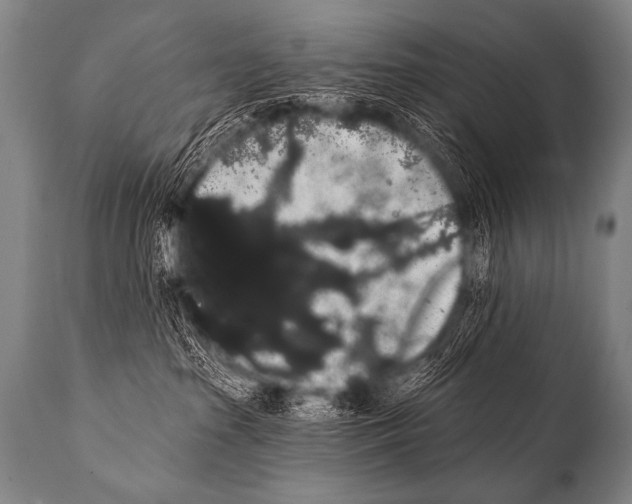 X0000112000285200909141109