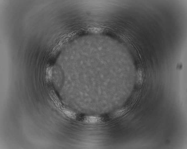 X0000112000286200909141109