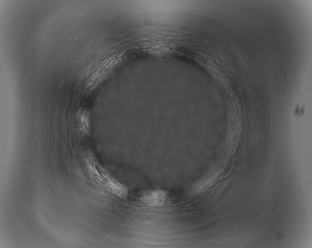 X0000112000288200909141109