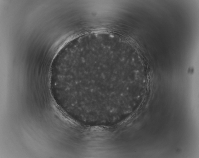 X0000112000290200909141108