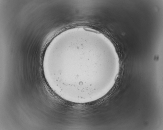 X0000112000293200909141108