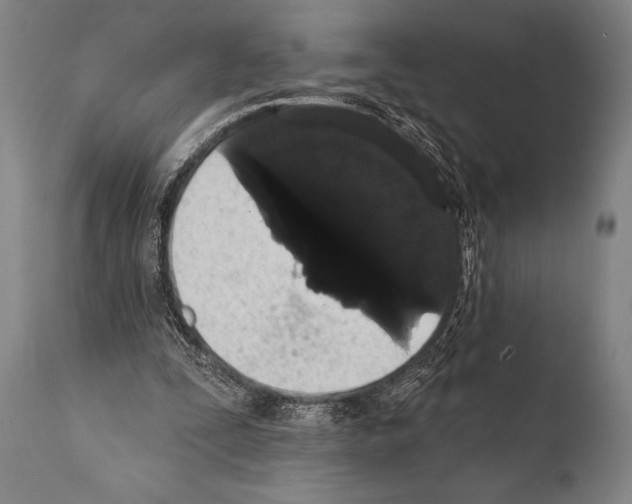 X0000112000295200909141108