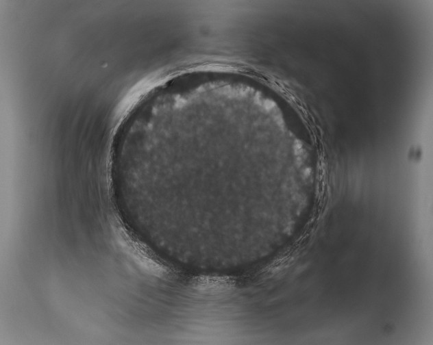 X0000112000296200909141108