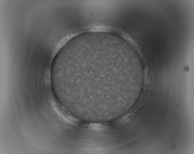 X0000112000298200909141108