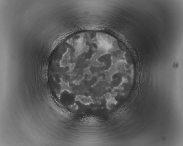 X0000112000299200909141108