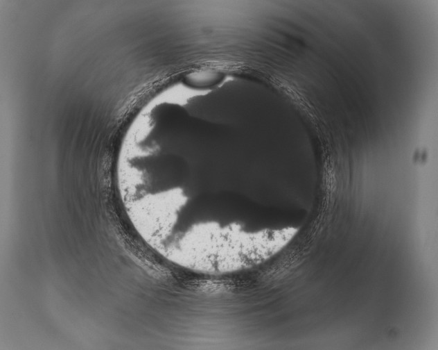 X0000112000303200909141108