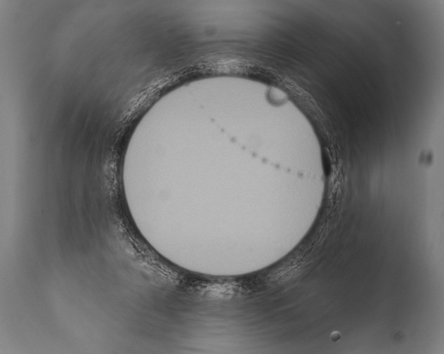 X0000112000306200909141108