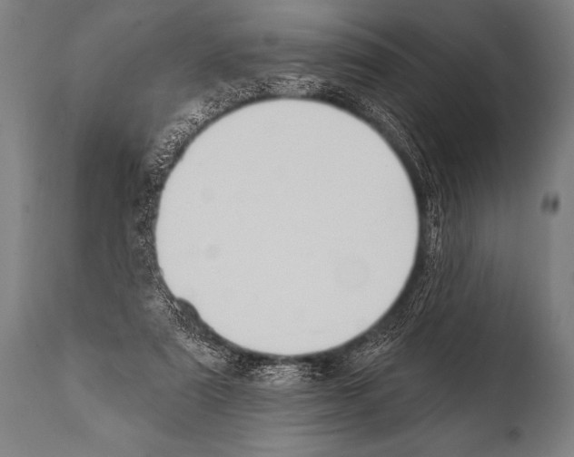 X0000112000307200909141108