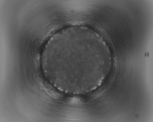 X0000112000308200909141108