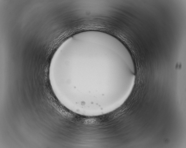 X0000112000309200909141108