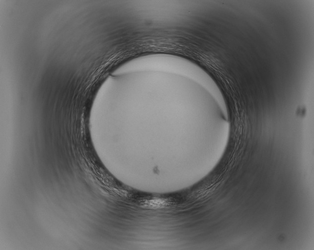 X0000112000312200909141108