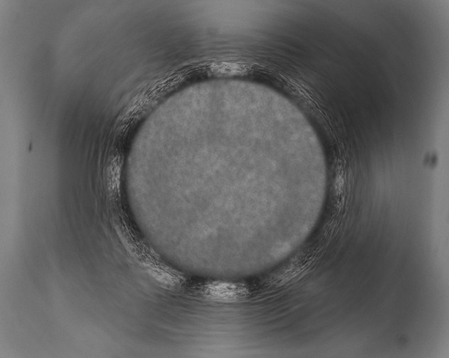 X0000112000315200909141108