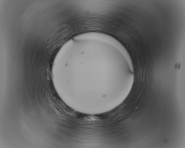 X0000112000316200909141108