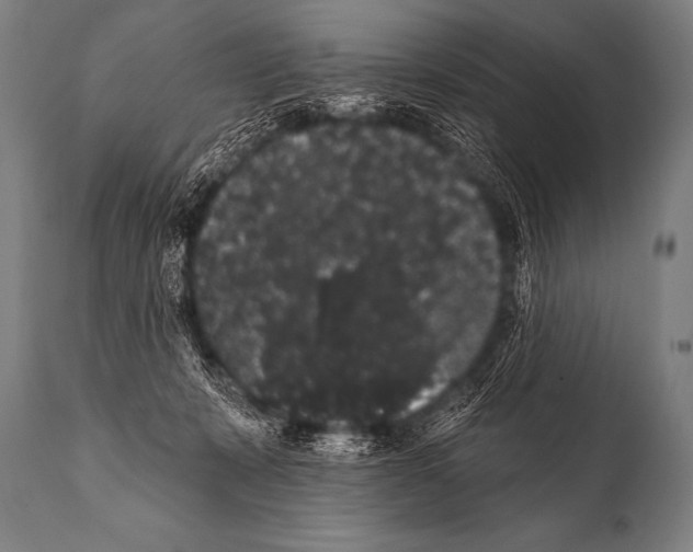 X0000112000319200909141108