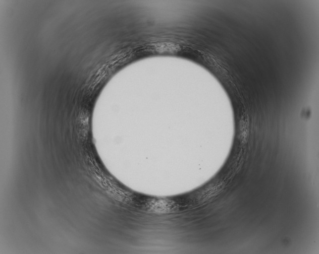 X0000112000321200909141108