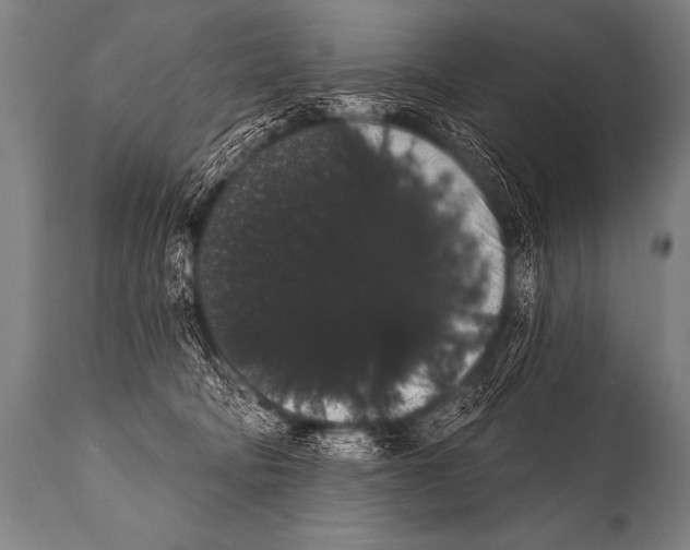 X0000112000322200909141107