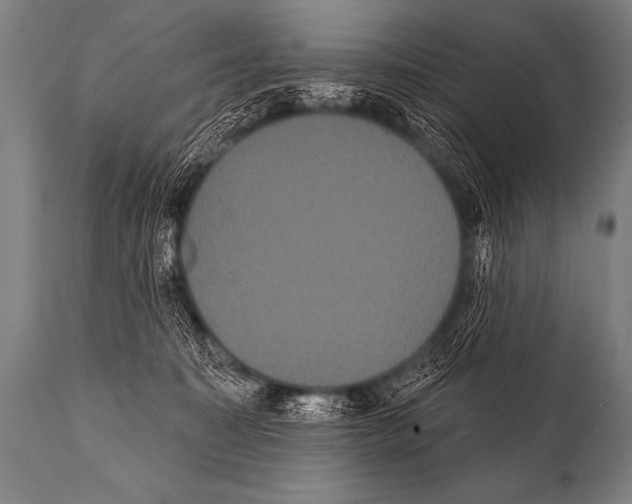 X0000112000323200909141107