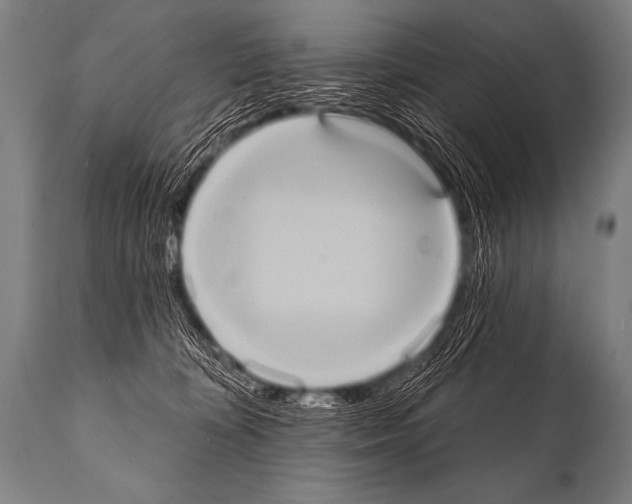 X0000112000324200909141107