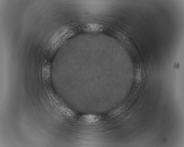 X0000112000326200909141107