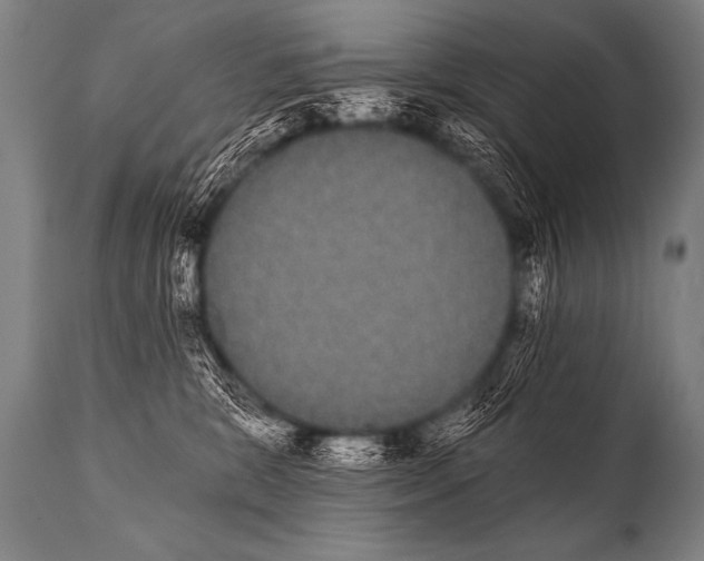 X0000112000327200909141107